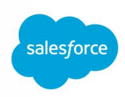 Salesforce - Project Management Office Governance